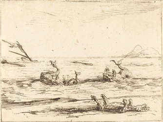Dolfijnen en Krokodil