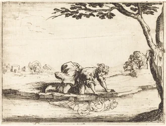 Narcissus Kijkt in het Water