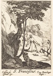 Sint Franciscus