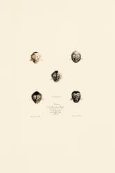 Vergelijkende gezichten van verschillende apensoorten