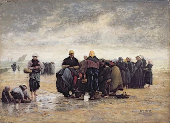 Aan de kust