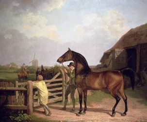"Bay Ascham", een hengst geleid door een poort naar een merrie