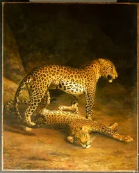 Twee luipaarden liggend in de Exeter Exchange, 1808