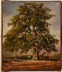 Le Vieux chêne