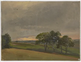 Avondweide met bomen