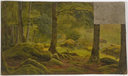 In een bos