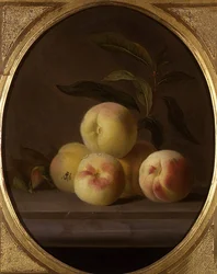 Stilleven van fruit met een vlieg