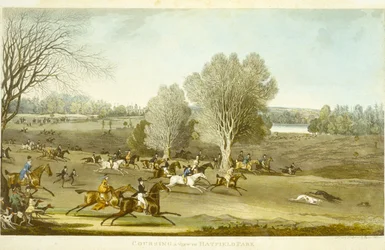 Jagen - Een uitzicht op Hatfield Park, gegraveerd door James Pollard (1797-1867)
