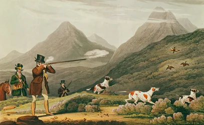 Korhoen schieten (gravure in kleur)