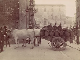 Carro con buoi, Perugia, 1880s