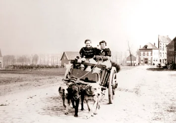 Honden trekken vrouwen op een kar, Antwerpen
