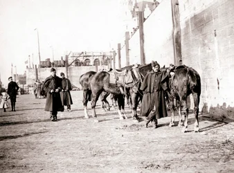 Paardrijders, Antwerpen, 1898