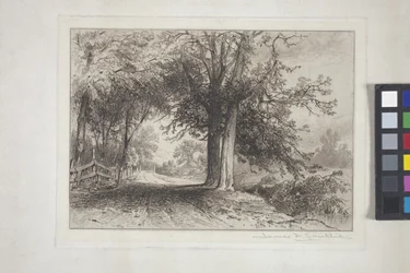 Landschap