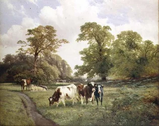 Vee dat Graast langs een Pad in een Bosrijk Landschap