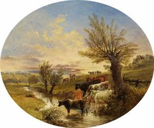 Landschap met stroom en vee