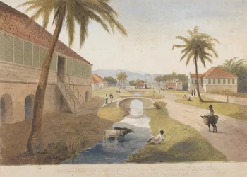 Landgoed Holland, St. Thomas in the East, Jamaica [Een van]