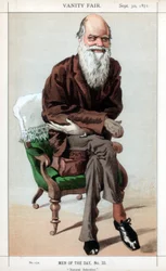Natuurlijke Selectie, 1871