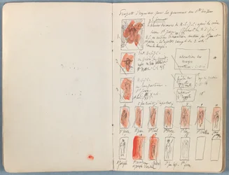 Pagina