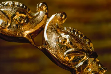 Een handgemaakte gouden armband met twee botsende haaienkoppen. Zuid-Amerika