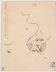 Vlinder "Encountered" (recto); Schets voor staartstuk (verso)