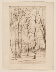 Het Damhout