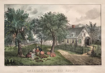 Amerikaanse Hoeve