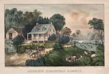 Amerikaanse Homestead, Zomer, 1869