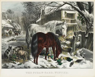 Stro-werf, Winter