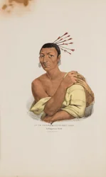 AT-TE-CONSE of het jonge ree; een Chippeway opperhoofd, uit de Aboriginal Portfolio
