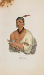 O-WAN-ICH-KOH of de Kleine Eland; een Winnebago opperhoofd, uit de Aboriginal Portfolio