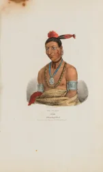 WA-KAUN of de Slang; een Winnebago opperhoofd, uit de Aboriginal Portfolio