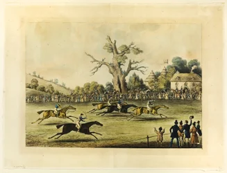 Saint Albans Grote Steeple Chase