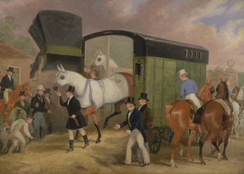 De Derby-huisdieren: De aankomst