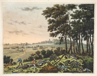 Kasteel van Hougoumont: Een uitzicht op het bos langs het kasteel
