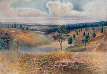 Uitzicht vanaf Beacon Hill, Hindhead, 1911, 1914