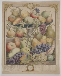 November 1732
