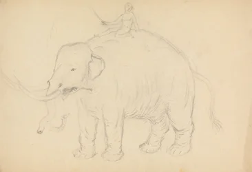 Olifant met ruiter