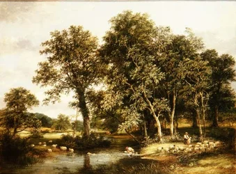 Schapendip