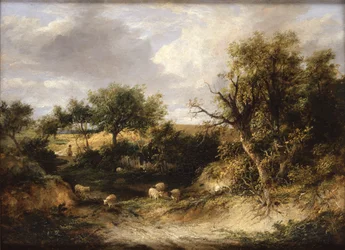 Boslandschap (olieverf op doek)
