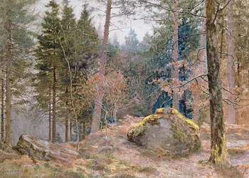 In een Welshe bos, winter