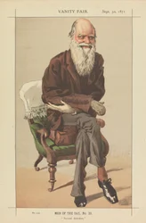 Vanity Fair Mannen van de Dag, Nr. 33, Natuurlijke Selectie