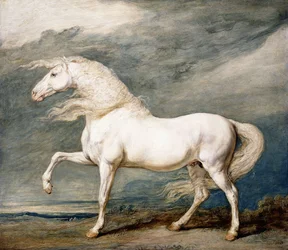 Adonis, het favoriete paard van koning George III