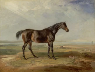 Dr. Syntax, een baai renpaard, staand in een kustlandschap, een estuarium daarachter