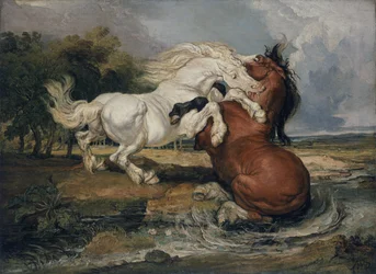Vechtende paarden