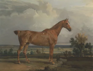 Jager in een landschap