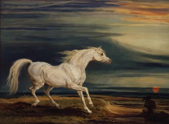 Marengo, het Arabische strijdros, bereden door Napoleon Bonaparte in de Slag bij Waterloo