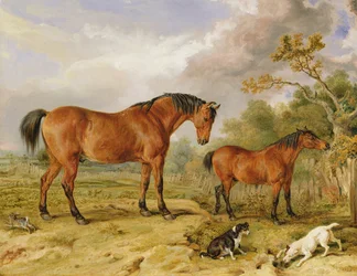 Portret van hervormer Blucher, Tory en Crib, eigendom van Rowland Alston, Esq.