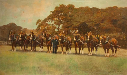 Shire Paarden, 1896