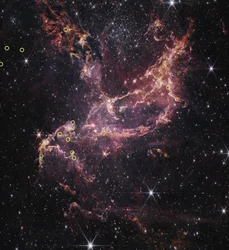 Protoplanetaire schijven in NGC 346 (opname van de NIRCam)
