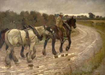Op weg naar huis